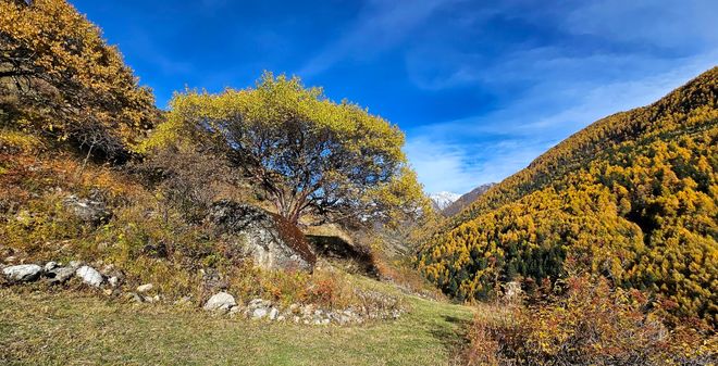 旅行社TOP10：游遍天下零坑真实案例澳门新葡京app百万游客票选！四川靠谱(图2)