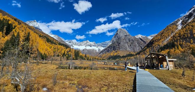 旅行社TOP10：游遍天下零坑真实案例澳门新葡京app百万游客票选！四川靠谱(图4)