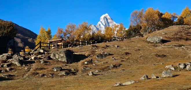 旅行社TOP10：游遍天下零坑真实案例澳门新葡京app百万游客票选！四川靠谱(图3)